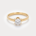 Seed Diamond Ring