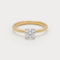 Mote Diamond Ring