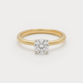 Shade Diamond Ring